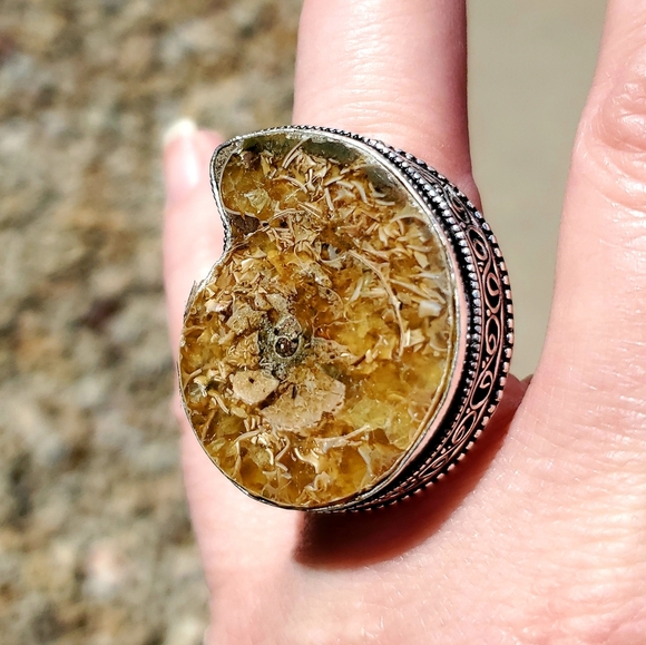 WOW New Ammonite Fossil 925 Silver Statement Ring. - Picture 7 of 8